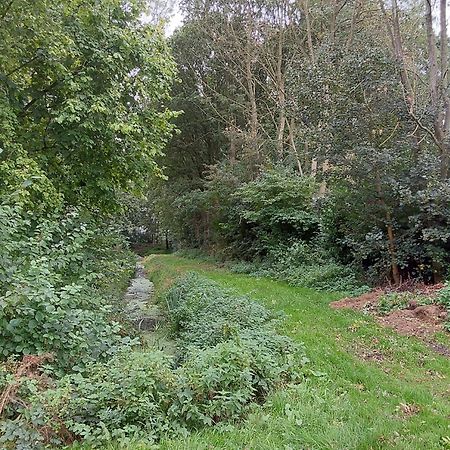 Rumah Senang Wellness Met Hottub En Tuin Евейк Екстер'єр фото